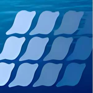 Dive Seychelles Underwater Centre